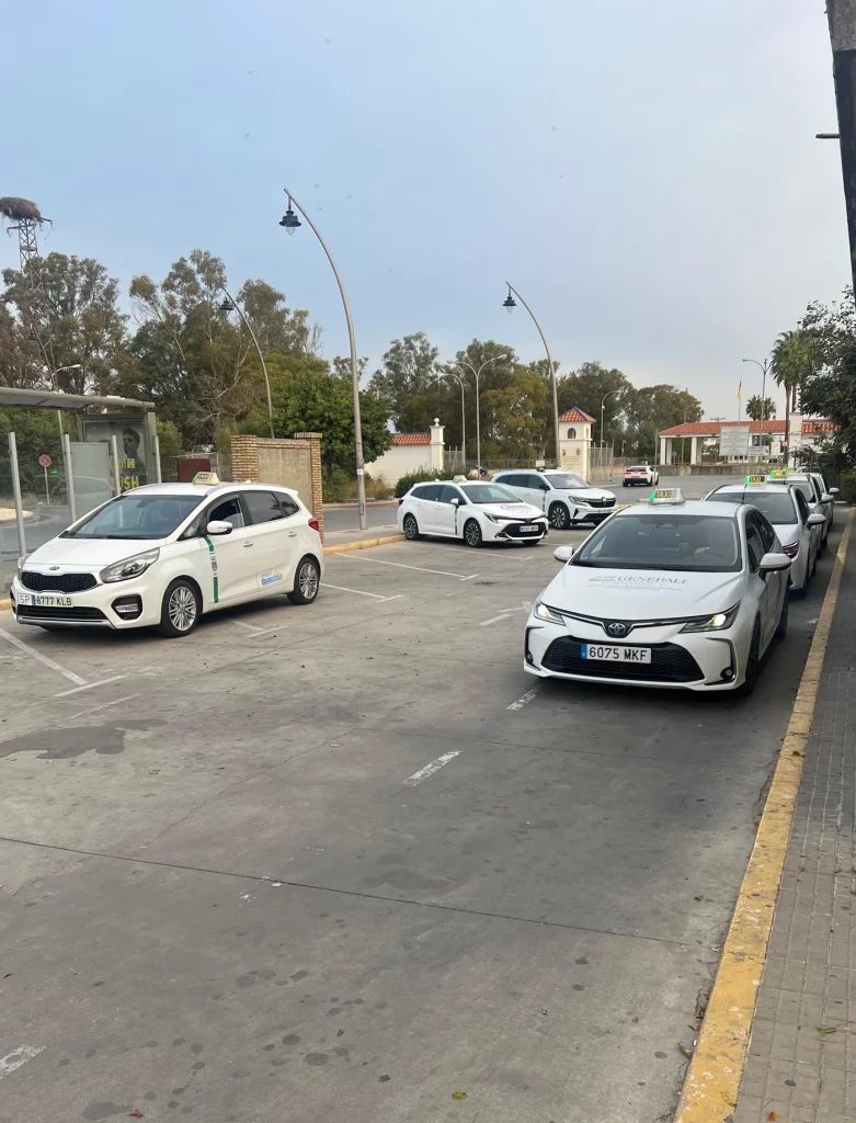 Fila de taxis blancos estacionados en una parada de taxis en Sevilla, con árboles y un nido de cigüeña al fondo.
